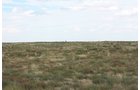 Property photo 66 - LAND AUCTION, 3255+/- Acres offered in 13 Tracts